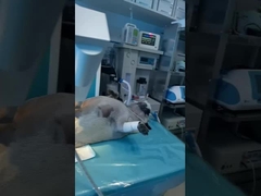 (ESWL (PETS) について)